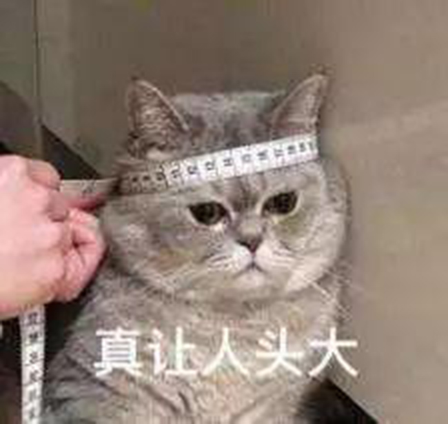 無人警務自助終端落戶阜陽機場！忘帶身份證也不用急了